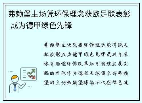 弗赖堡主场凭环保理念获欧足联表彰 成为德甲绿色先锋